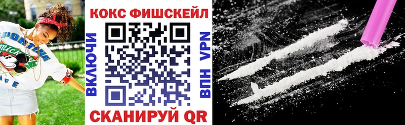 Купить закладки  Новосиль  COCAIN FishScale 