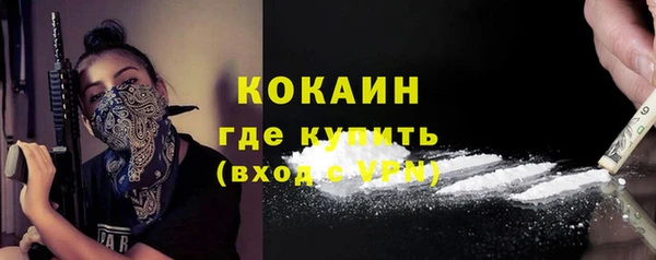 кокс Бородино
