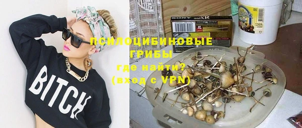 кокс Бородино